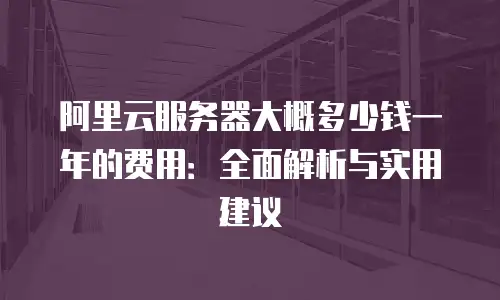 阿里云服务器大概多少钱一年的费用：全面解析与实用建议