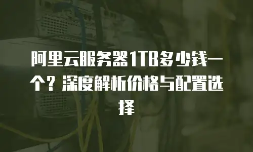 阿里云服务器1TB多少钱一个？深度解析价格与配置选择