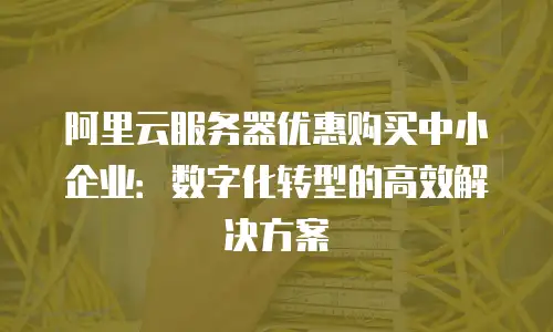 阿里云服务器优惠购买中小企业：数字化转型的高效解决方案