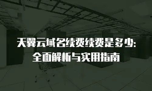 天翼云域名续费续费是多少：全面解析与实用指南