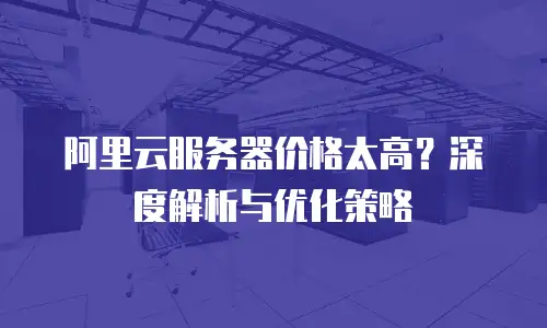 阿里云服务器价格太高？深度解析与优化策略