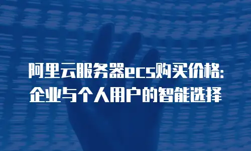 阿里云服务器ecs购买价格：企业与个人用户的智能选择