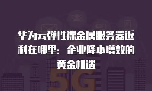 华为云弹性裸金属服务器返利在哪里：企业降本增效的黄金机遇