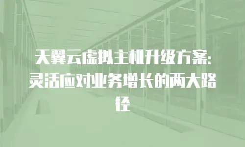天翼云虚拟主机升级方案：灵活应对业务增长的两大路径