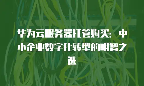 华为云服务器托管购买：中小企业数字化转型的明智之选