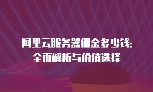 阿里云服务器佣金多少钱：全面解析与价值选择