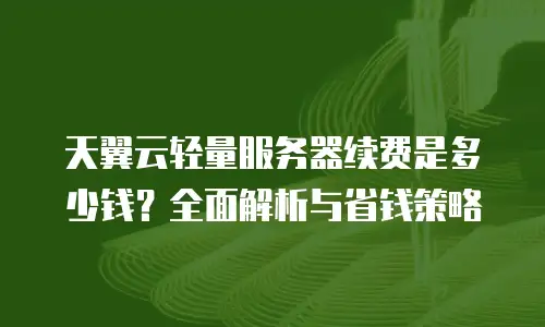 天翼云轻量服务器续费是多少钱？全面解析与省钱策略