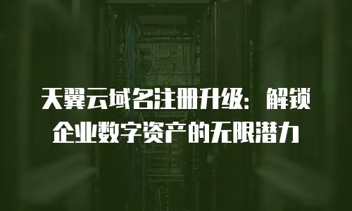 天翼云域名注册升级：解锁企业数字资产的无限潜力