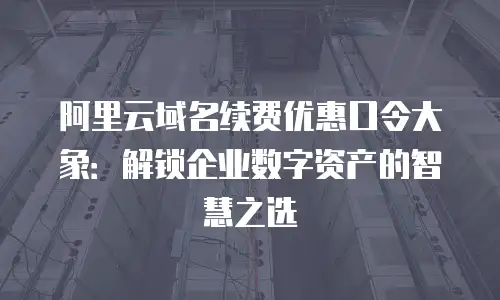 阿里云域名续费优惠口令大象：解锁企业数字资产的智慧之选
