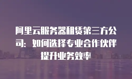 阿里云服务器租赁第三方公司：如何选择专业合作伙伴提升业务效率