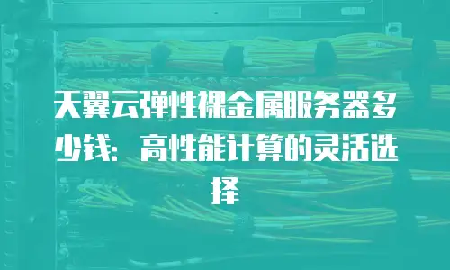 天翼云弹性裸金属服务器多少钱：高性能计算的灵活选择