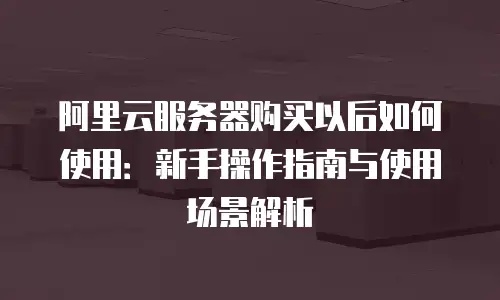 阿里云服务器购买以后如何使用：新手操作指南与使用场景解析