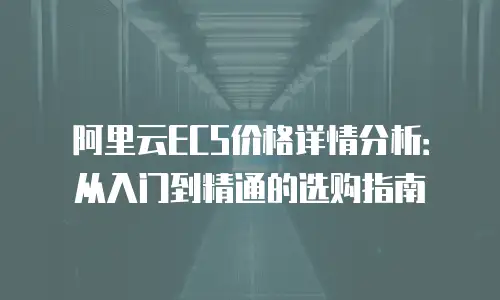阿里云ECS价格详情分析：从入门到精通的选购指南