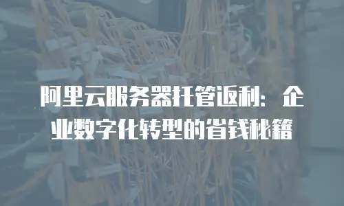 阿里云服务器托管返利：企业数字化转型的省钱秘籍