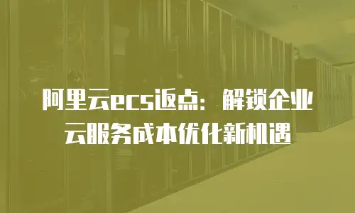 阿里云ecs返点：解锁企业云服务成本优化新机遇