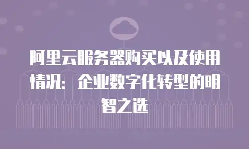 阿里云服务器购买以及使用情况：企业数字化转型的明智之选