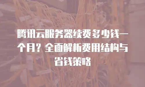 腾讯云服务器续费多少钱一个月？全面解析费用结构与省钱策略