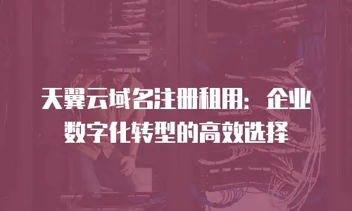 天翼云域名注册租用：企业数字化转型的高效选择
