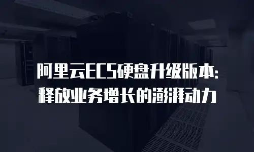 阿里云ECS硬盘升级版本：释放业务增长的澎湃动力