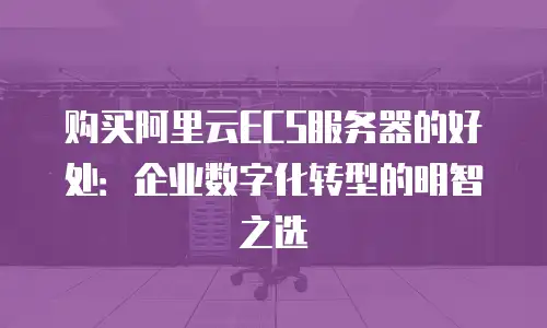 购买阿里云ECS服务器的好处：企业数字化转型的明智之选