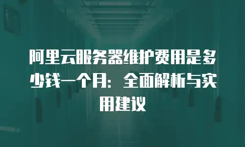 阿里云服务器维护费用是多少钱一个月：全面解析与实用建议