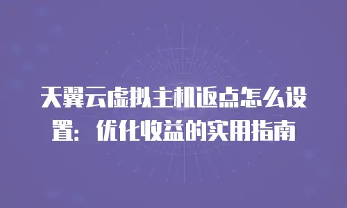 天翼云虚拟主机返点怎么设置：优化收益的实用指南