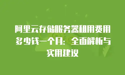 阿里云存储服务器租用费用多少钱一个月：全面解析与实用建议