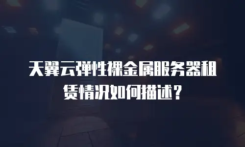 天翼云弹性裸金属服务器租赁情况如何描述？
