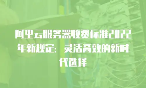 阿里云服务器收费标准2022年新规定：灵活高效的新时代选择