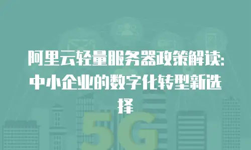 阿里云轻量服务器政策解读：中小企业的数字化转型新选择
