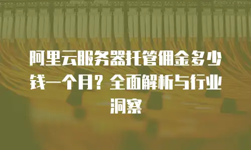 阿里云服务器托管佣金多少钱一个月？全面解析与行业洞察