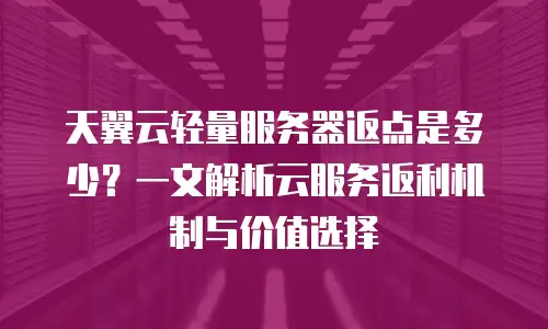 天翼云轻量服务器返点是多少？一文解析云服务返利机制与价值选择