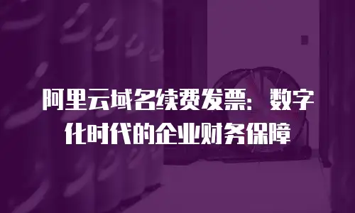 阿里云域名续费发票：数字化时代的企业财务保障