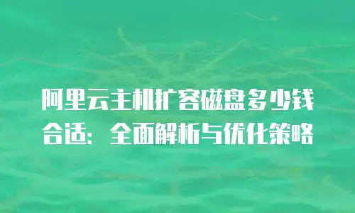 阿里云主机扩容磁盘多少钱合适：全面解析与优化策略