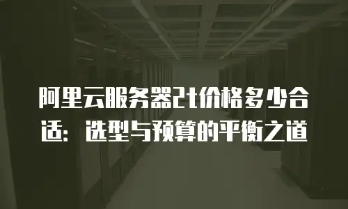 阿里云服务器2t价格多少合适：选型与预算的平衡之道