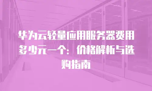 华为云轻量应用服务器费用多少元一个：价格解析与选购指南