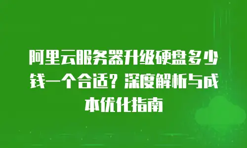 阿里云服务器升级硬盘多少钱一个合适？深度解析与成本优化指南