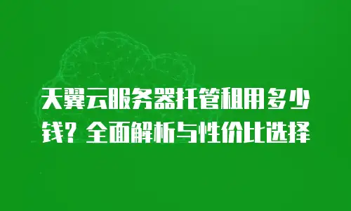 天翼云服务器托管租用多少钱？全面解析与性价比选择
