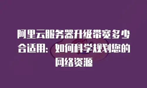 阿里云服务器升级带宽多少合适用：如何科学规划您的网络资源
