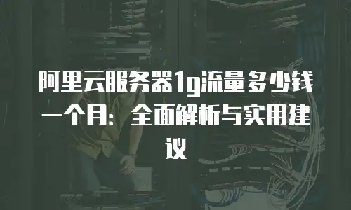 阿里云服务器1g流量多少钱一个月：全面解析与实用建议