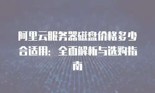 阿里云服务器磁盘价格多少合适用：全面解析与选购指南