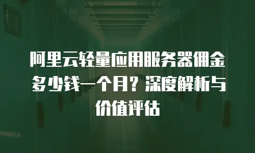 阿里云轻量应用服务器佣金多少钱一个月？深度解析与价值评估