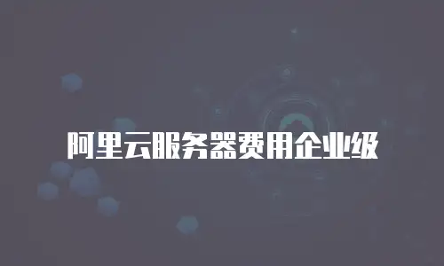 阿里云服务器费用企业级