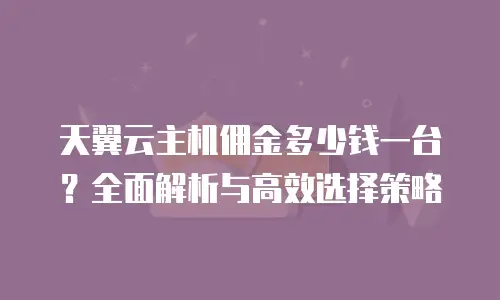 天翼云主机佣金多少钱一台？全面解析与高效选择策略