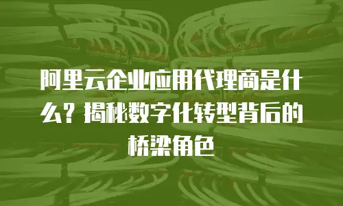 阿里云企业应用代理商是什么？揭秘数字化转型背后的桥梁角色