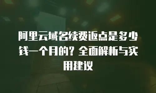 阿里云域名续费返点是多少钱一个月的？全面解析与实用建议