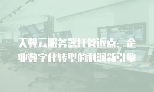 天翼云服务器托管返点：企业数字化转型的利润新引擎