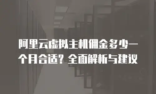 阿里云虚拟主机佣金多少一个月合适？全面解析与建议