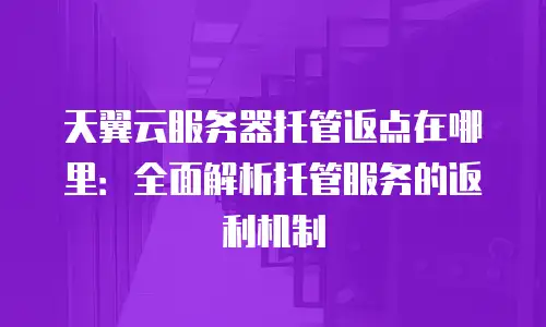 天翼云服务器托管返点在哪里：全面解析托管服务的返利机制