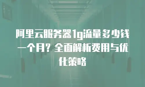 阿里云服务器1g流量多少钱一个月？全面解析费用与优化策略